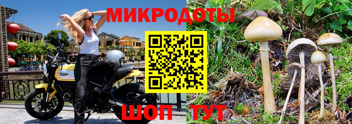 Псилоцибиновые грибы мухоморы Обнинск